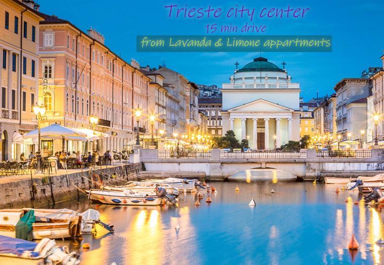 Apartment Lavanda & Limone *